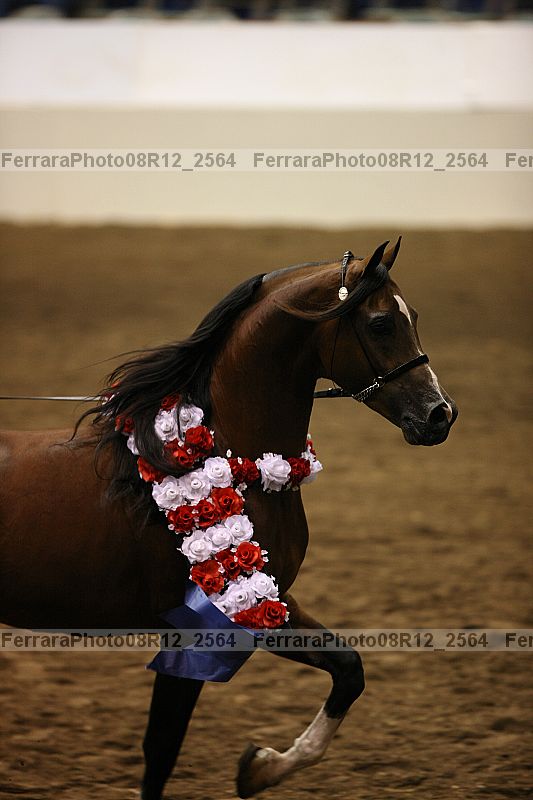 Proof 08r12_2564