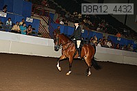 08r12_4432 proof