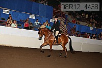 08r12_4438 proof