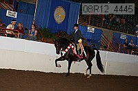 08r12_4445 proof