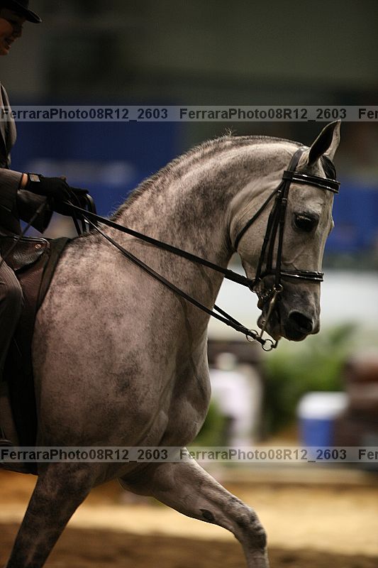 Proof 08r12_2603