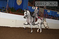 08r12_2625 proof