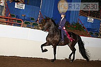 08r12_2630 proof