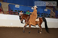08r12_2636 proof