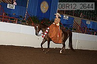 08r12_2644 proof