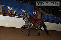 08r12_3774 proof