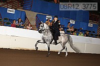 08r12_3775 proof