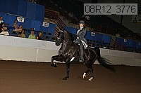 08r12_3776 proof