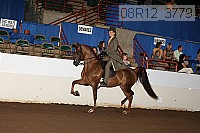 08r12_3779 proof