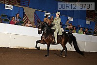 08r12_3781 proof