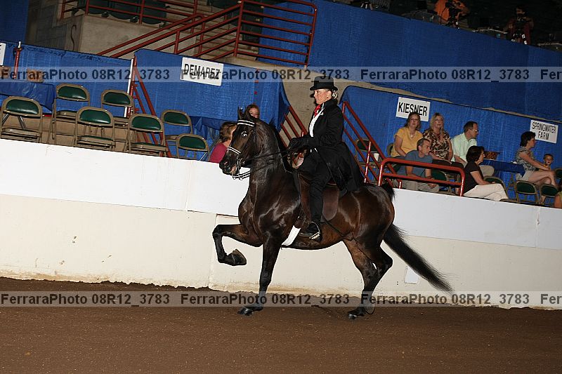 Proof 08r12_3783