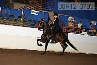 08r12_3783 proof