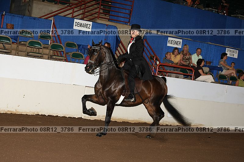 Proof 08r12_3786