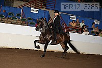 08r12_3786 proof