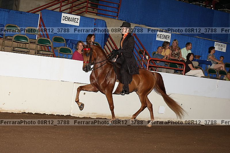 Proof 08r12_3788