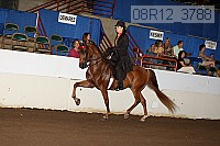 08r12_3788 proof