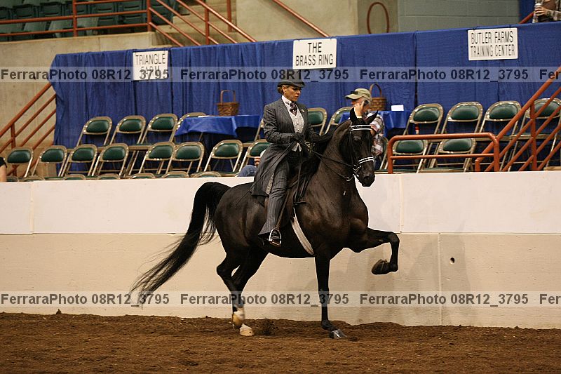 Proof 08r12_3795