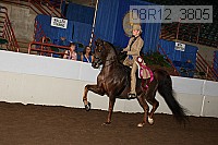 08r12_3805 proof