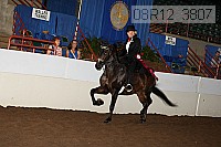 08r12_3807 proof
