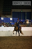08r12_3808 proof