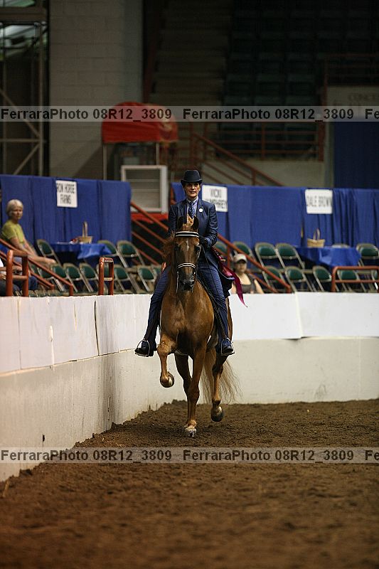 Proof 08r12_3809