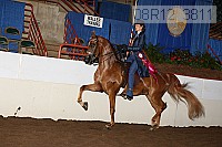08r12_3811 proof