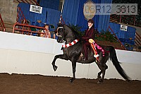 08r12_3813 proof