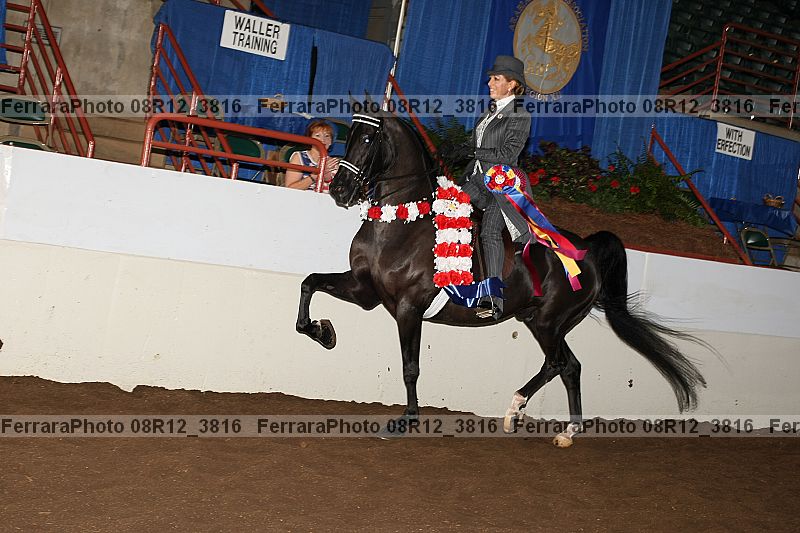 Proof 08r12_3816