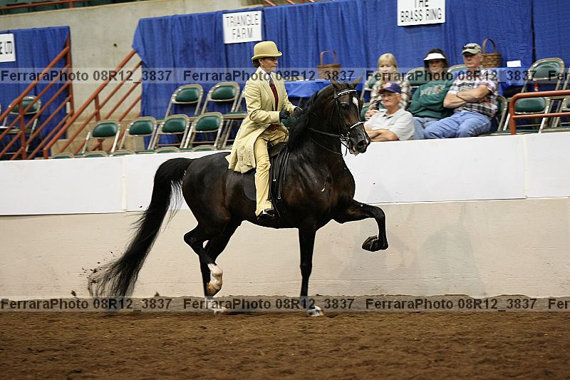 Proof 08r12_3837
