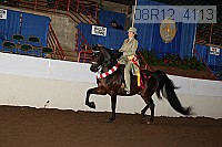 08r12_4113 proof