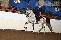 08r12_2714 proof