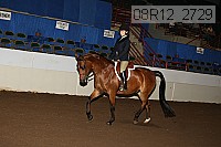 08r12_2729 proof