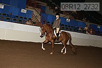 08r12_2732 proof