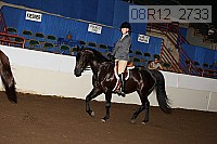 08r12_2733 proof