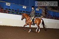 08r12_2738 proof