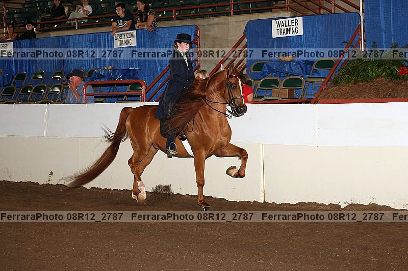 Proof 08r12_2787