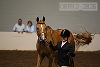 08r12_2826 proof
