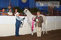 08r12_2845 proof