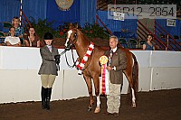 08r12_2854 proof
