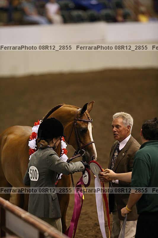 Proof 08r12_2855