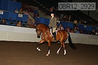 08r12_2929 proof