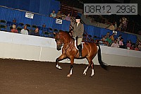 08r12_2936 proof
