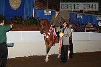 08r12_2941 proof