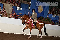 08r12_2954 proof