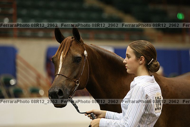 Proof 08r12_2962