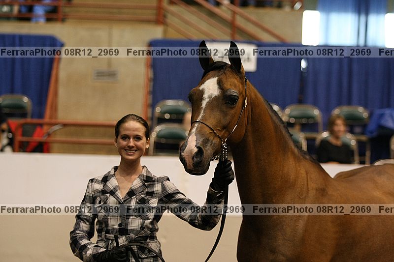 Proof 08r12_2969