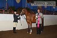 08r12_2976 proof