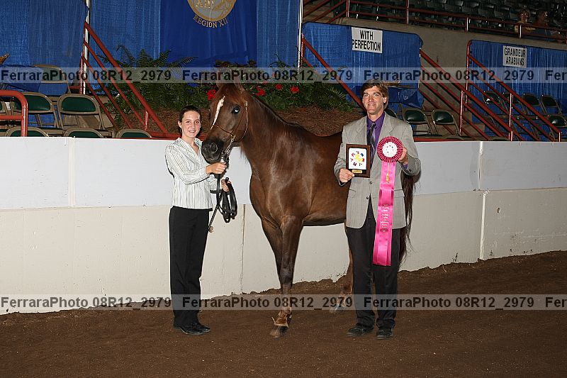 Proof 08r12_2979