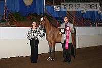 08r12_2981 proof