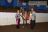 08r12_2983 proof